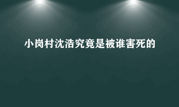 小岗村沈浩究竟是被谁害死的