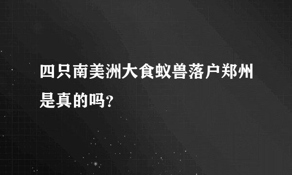 四只南美洲大食蚁兽落户郑州是真的吗？