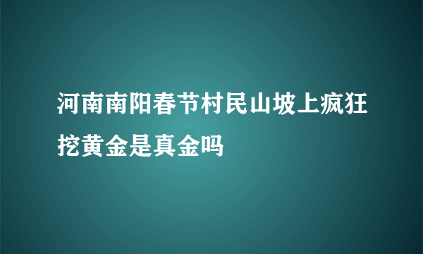 河南南阳春节村民山坡上疯狂挖黄金是真金吗