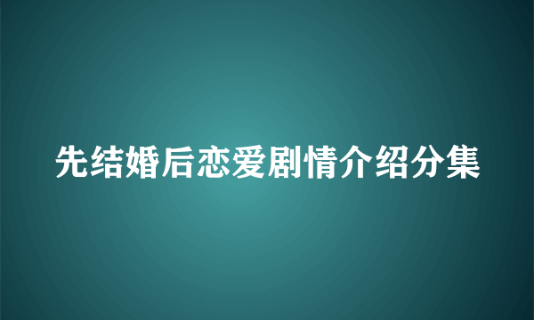 先结婚后恋爱剧情介绍分集