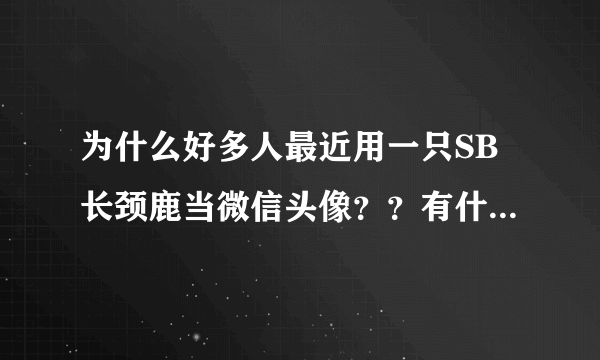 为什么好多人最近用一只SB长颈鹿当微信头像？？有什么寓意么？？？