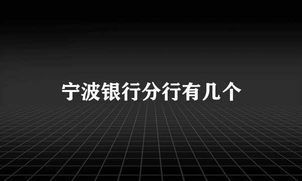 宁波银行分行有几个