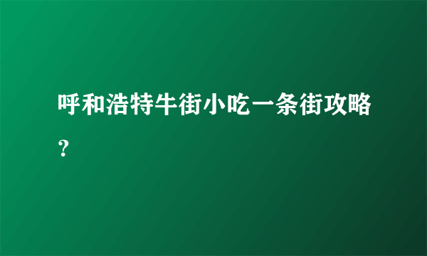 呼和浩特牛街小吃一条街攻略？