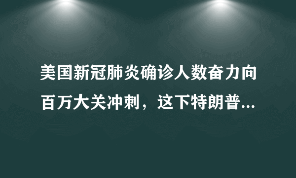 美国新冠肺炎确诊人数奋力向百万大关冲刺，这下特朗普输惨了，这是为什么？