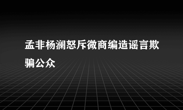 孟非杨澜怒斥微商编造谣言欺骗公众