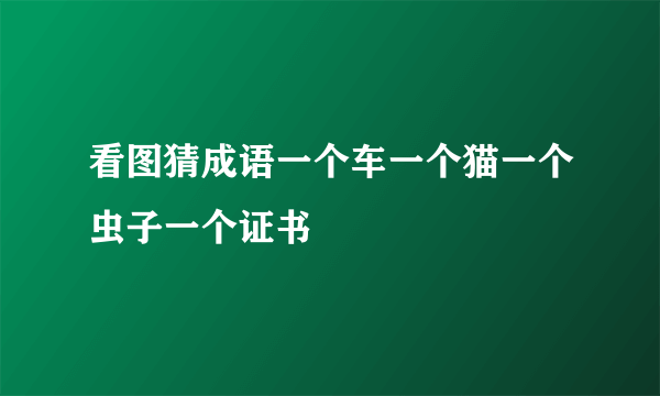 看图猜成语一个车一个猫一个虫子一个证书