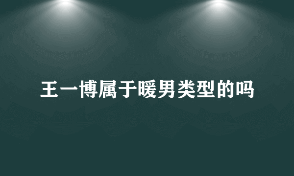 王一博属于暖男类型的吗