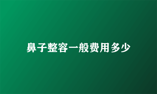 鼻子整容一般费用多少