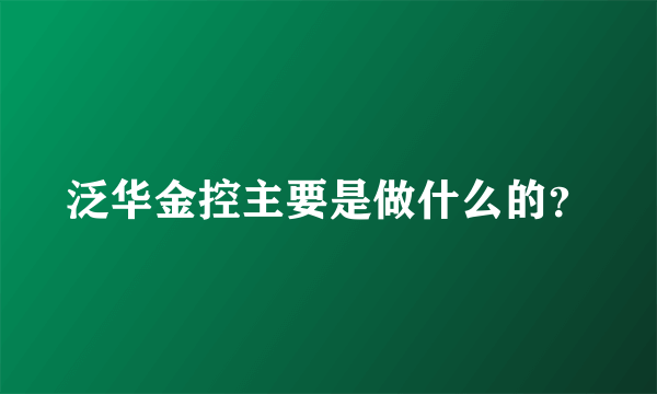 泛华金控主要是做什么的？