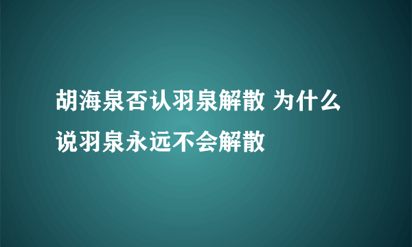 胡海泉否认羽泉解散 为什么说羽泉永远不会解散