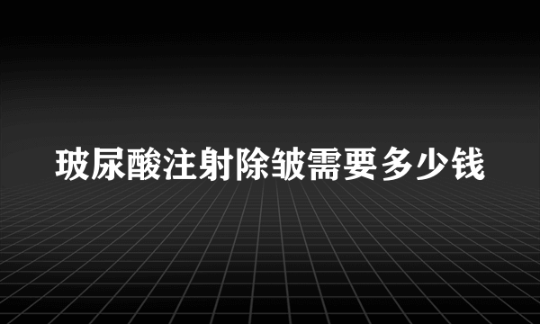 玻尿酸注射除皱需要多少钱