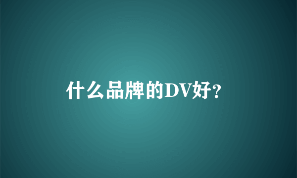 什么品牌的DV好？