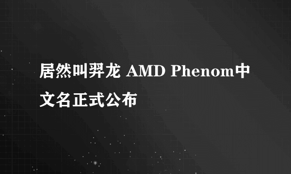 居然叫羿龙 AMD Phenom中文名正式公布