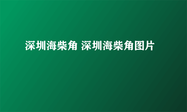 深圳海柴角 深圳海柴角图片