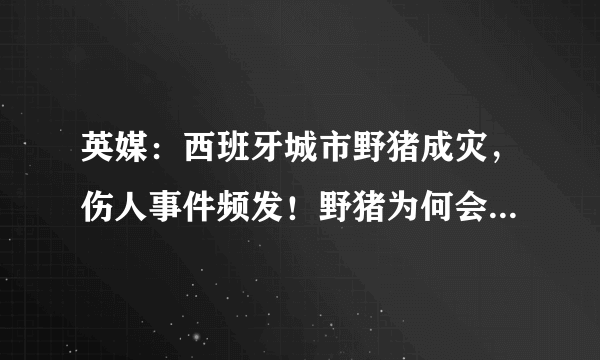 英媒：西班牙城市野猪成灾，伤人事件频发！野猪为何会出现在城区？