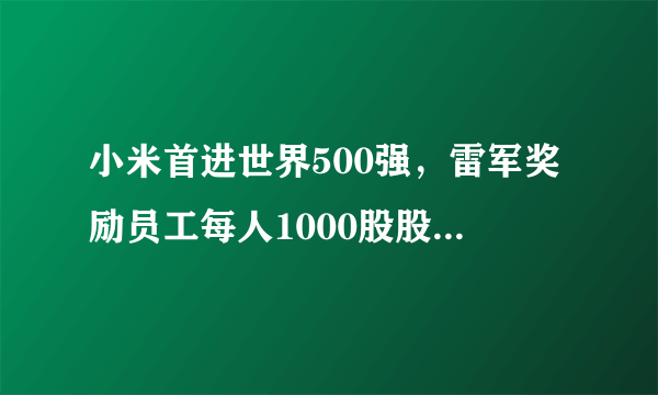 小米首进世界500强，雷军奖励员工每人1000股股票！你怎么看？