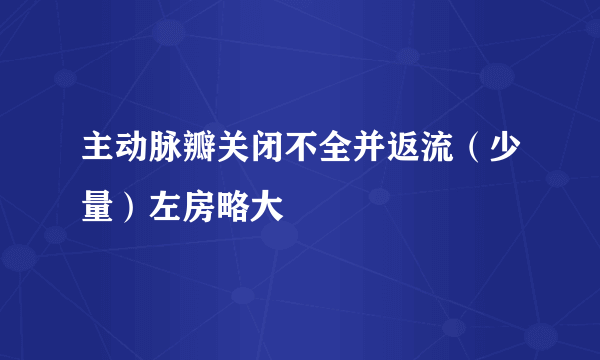 主动脉瓣关闭不全并返流（少量）左房略大