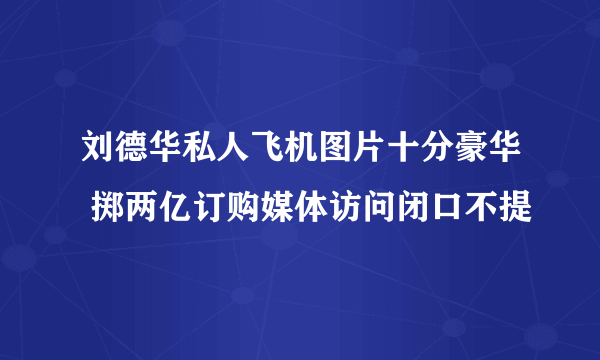 刘德华私人飞机图片十分豪华 掷两亿订购媒体访问闭口不提