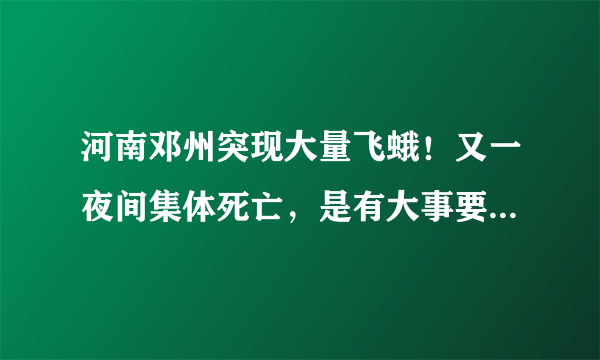 河南邓州突现大量飞蛾！又一夜间集体死亡，是有大事要发生吗？