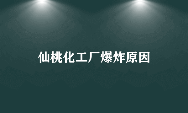 仙桃化工厂爆炸原因