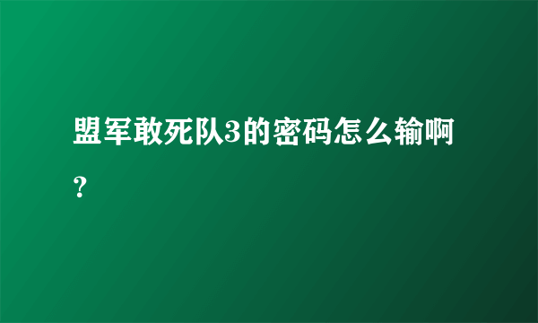 盟军敢死队3的密码怎么输啊？