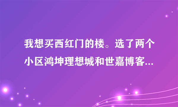 我想买西红门的楼。选了两个小区鸿坤理想城和世嘉博客不知道哪个好，听听大家的意见！！谢谢