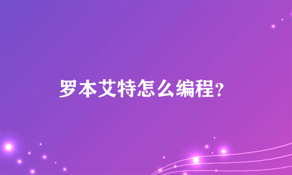 罗本艾特怎么编程？