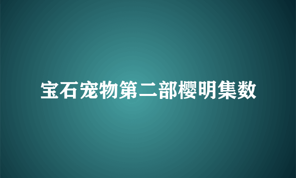 宝石宠物第二部樱明集数