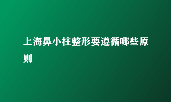 上海鼻小柱整形要遵循哪些原则