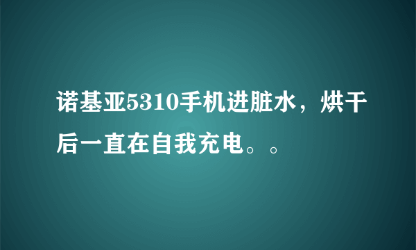 诺基亚5310手机进脏水，烘干后一直在自我充电。。