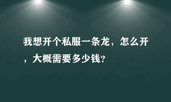 我想开个私服一条龙，怎么开，大概需要多少钱？