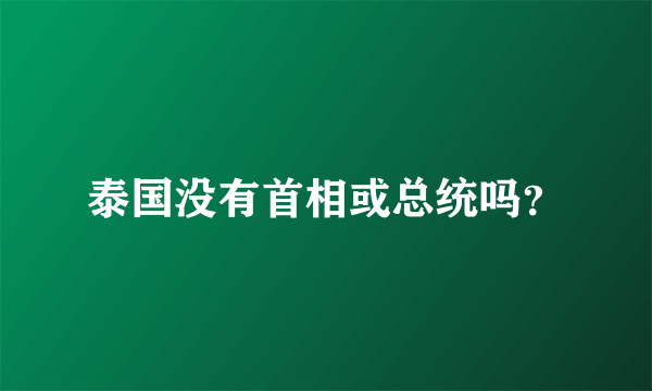 泰国没有首相或总统吗？