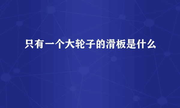 只有一个大轮子的滑板是什么