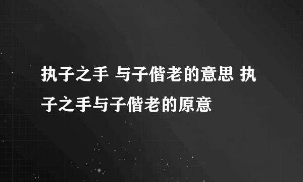 执子之手 与子偕老的意思 执子之手与子偕老的原意