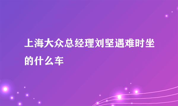 上海大众总经理刘坚遇难时坐的什么车