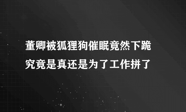 董卿被狐狸狗催眠竟然下跪 究竟是真还是为了工作拼了