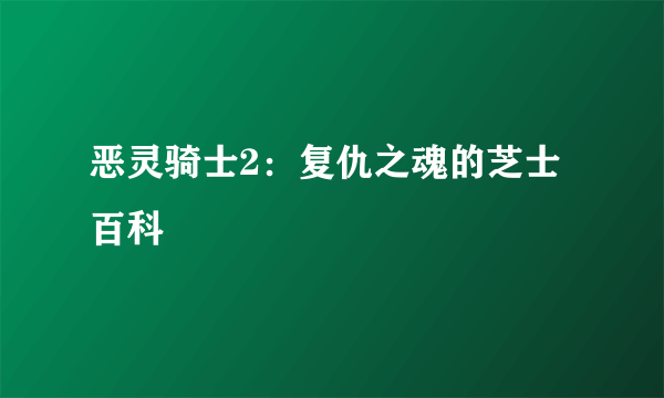 恶灵骑士2：复仇之魂的芝士百科