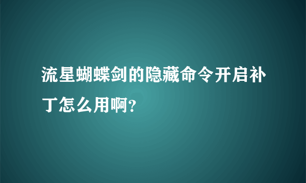 流星蝴蝶剑的隐藏命令开启补丁怎么用啊？