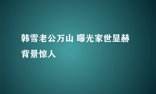 韩雪老公万山 曝光家世显赫背景惊人