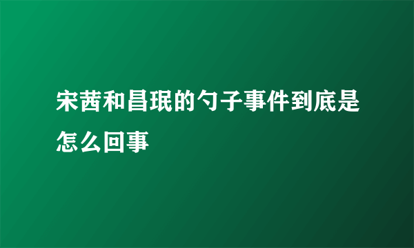 宋茜和昌珉的勺子事件到底是怎么回事