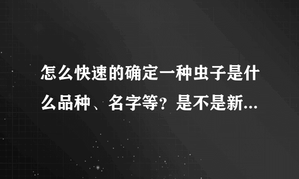 怎么快速的确定一种虫子是什么品种、名字等？是不是新的物种？