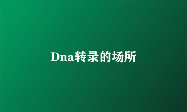 Dna转录的场所