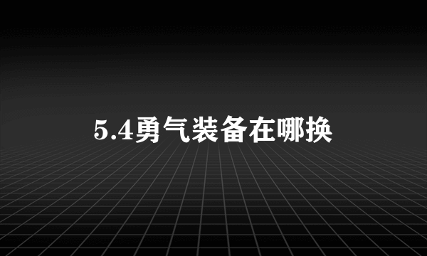 5.4勇气装备在哪换