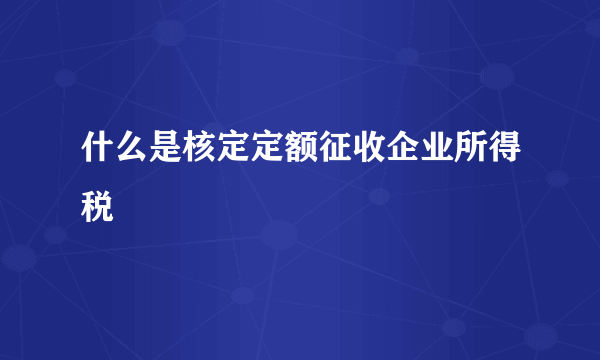 什么是核定定额征收企业所得税