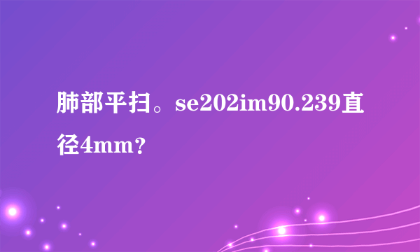 肺部平扫。se202im90.239直径4mm？