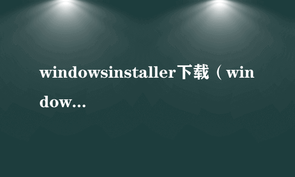 windowsinstaller下载（windows installer最新版本）