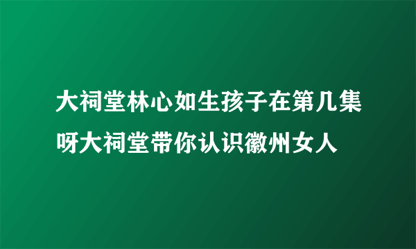 大祠堂林心如生孩子在第几集呀大祠堂带你认识徽州女人