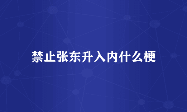 禁止张东升入内什么梗