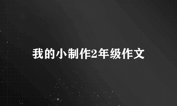 我的小制作2年级作文