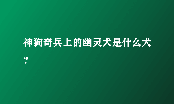 神狗奇兵上的幽灵犬是什么犬？